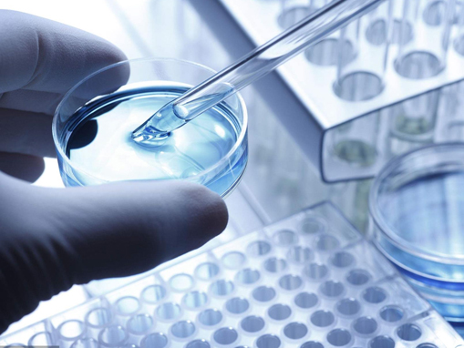 氢氧化镁的科普解析：性质与应用概览