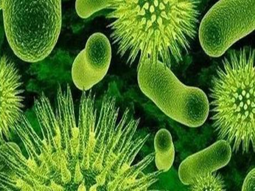 抗菌领域未来何在？泽辉氧化镁扮演关键角色